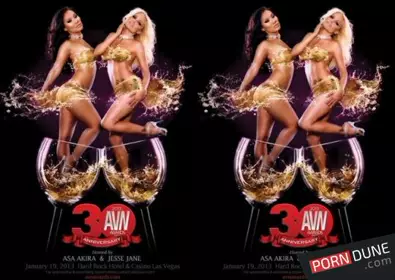 2013 AVN 颁奖典礼