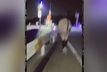 POUB-5242 晚上把一个在街上捡来的男孩女孩带回家，...